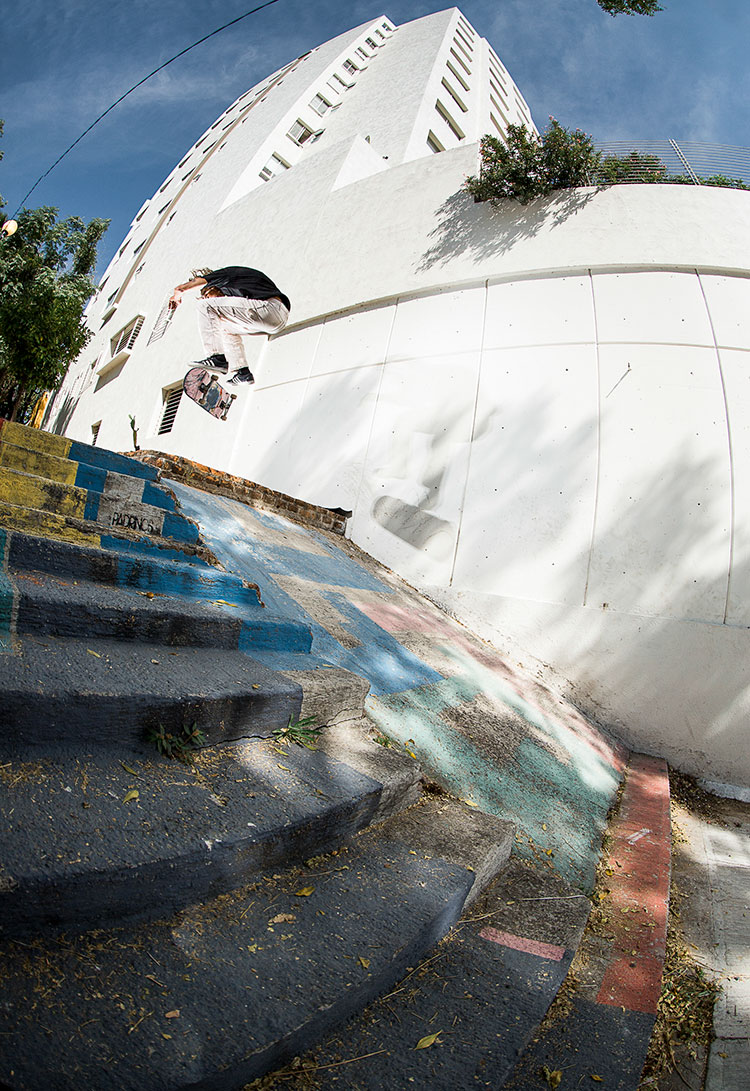 switch backside flip DZ 1 750px