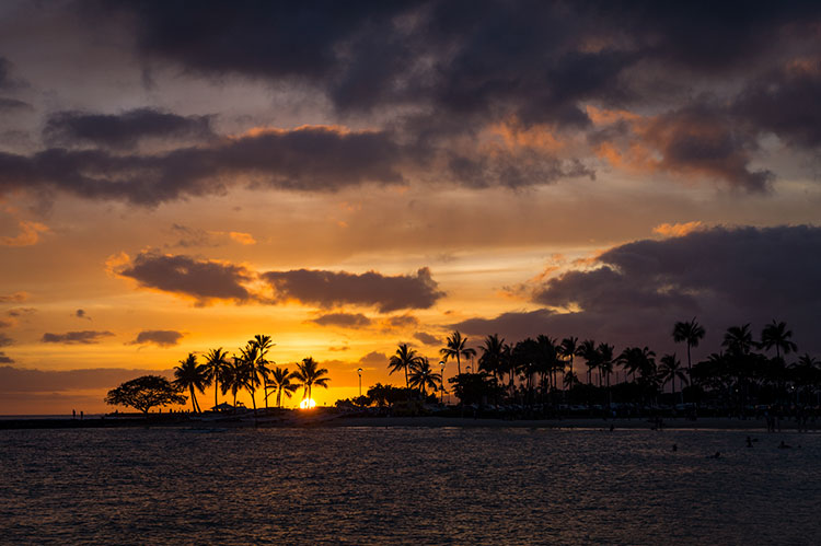 Hell of Paradise Contest Photos 96 750px