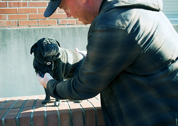 Burnout: Steady Puggin'