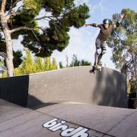 Elliot Sloan for Fallen X Birdhouse